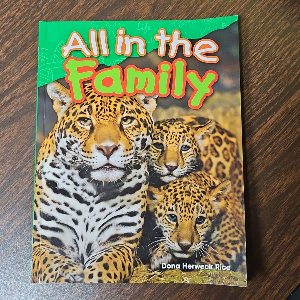 All in the Family by Dona Herweck Rice