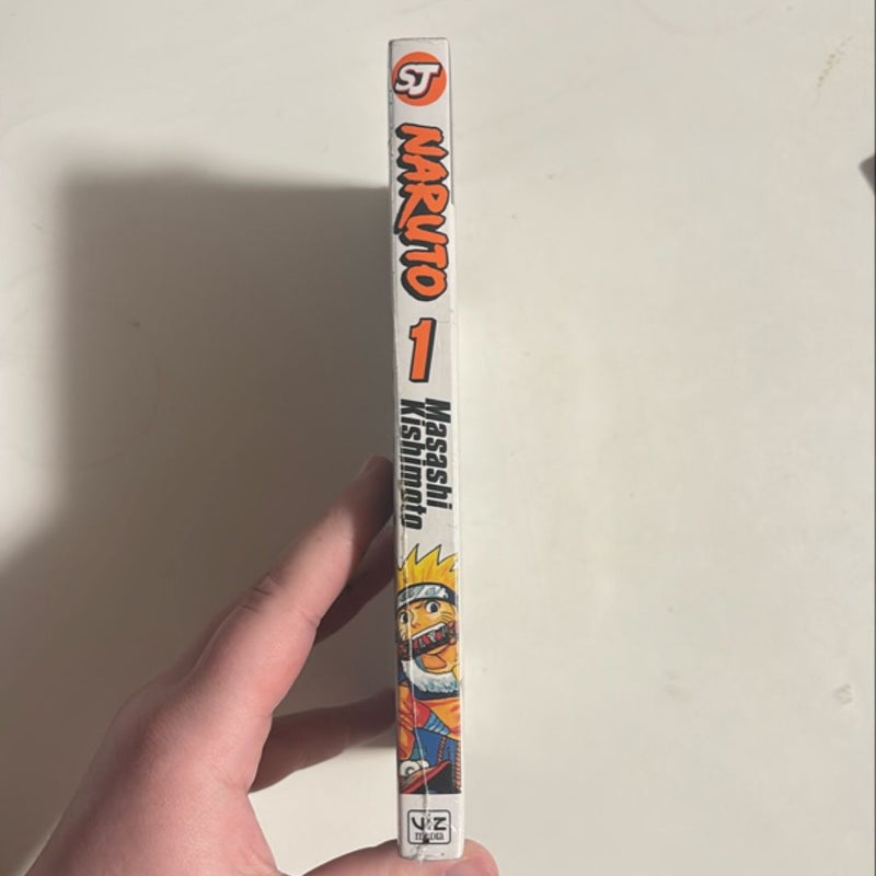 Naruto, Vol. 1