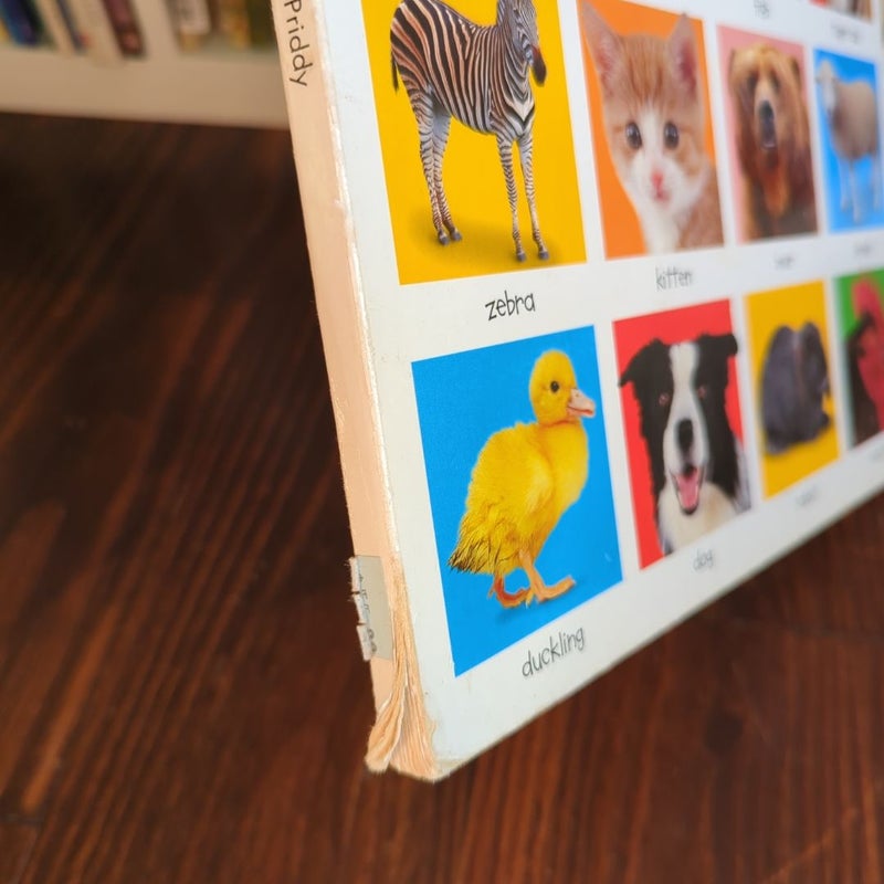 My Big Animal Book