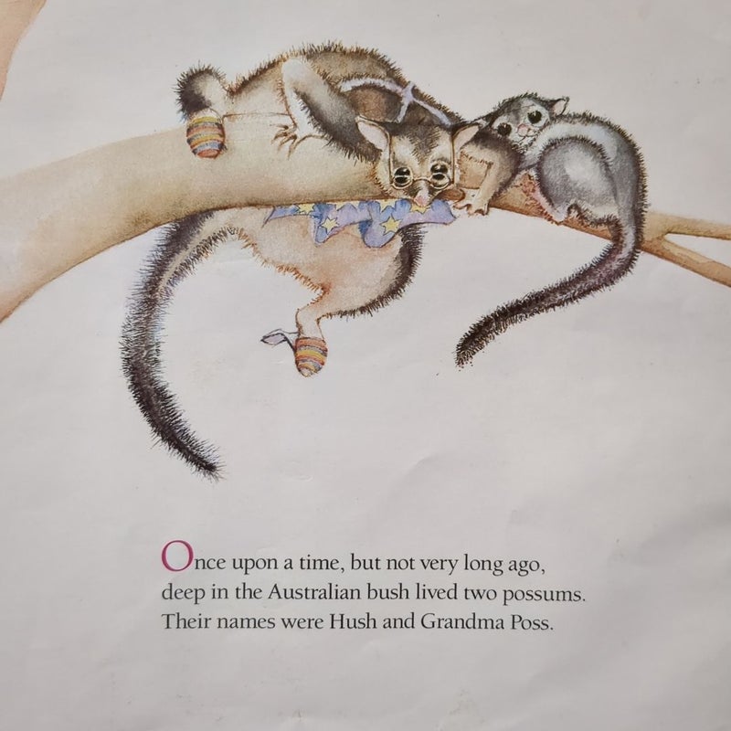 Possum Magic by Mem Fox; Julie Vivas (Illustrator)