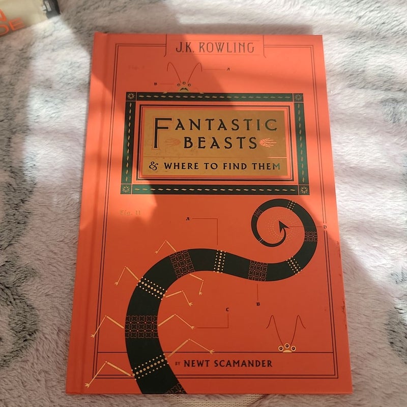 Fantastic Beasts and Where to Find Them