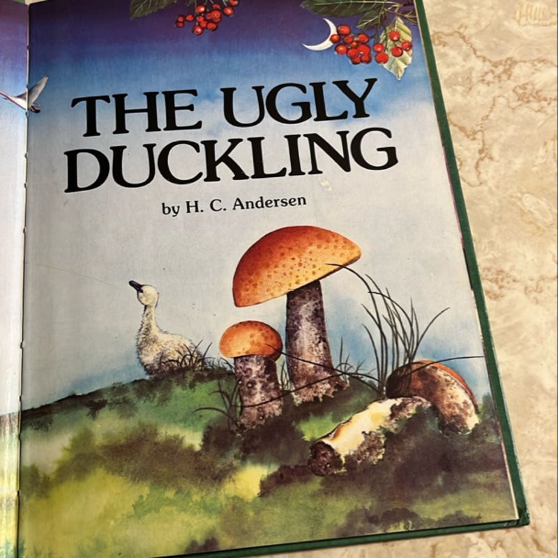 The Ugly Duckling