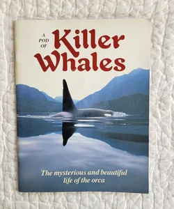 A Pod of Killer Whales