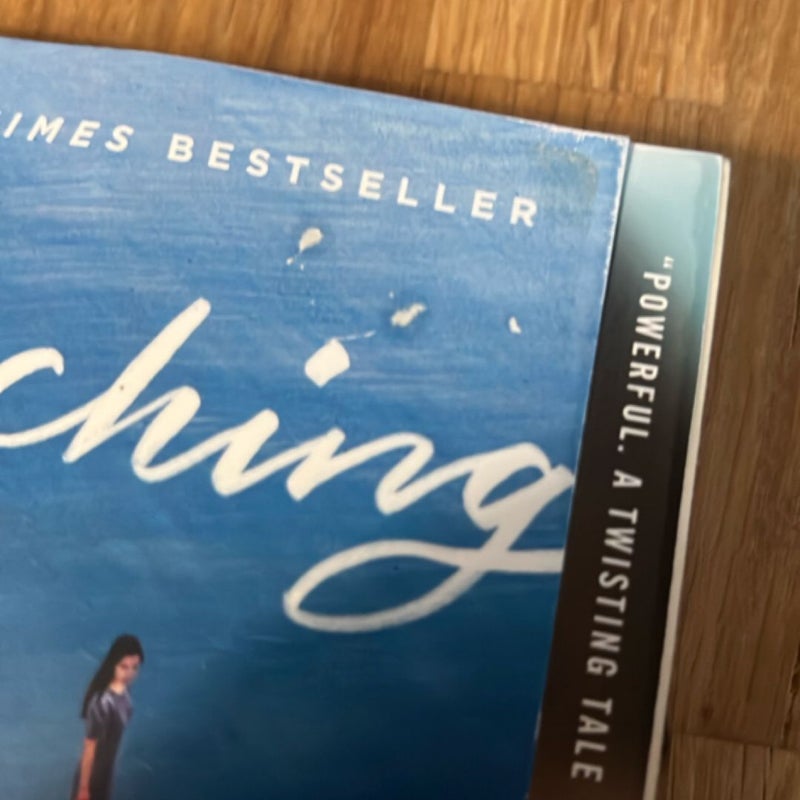 Searching for Sylvie Lee