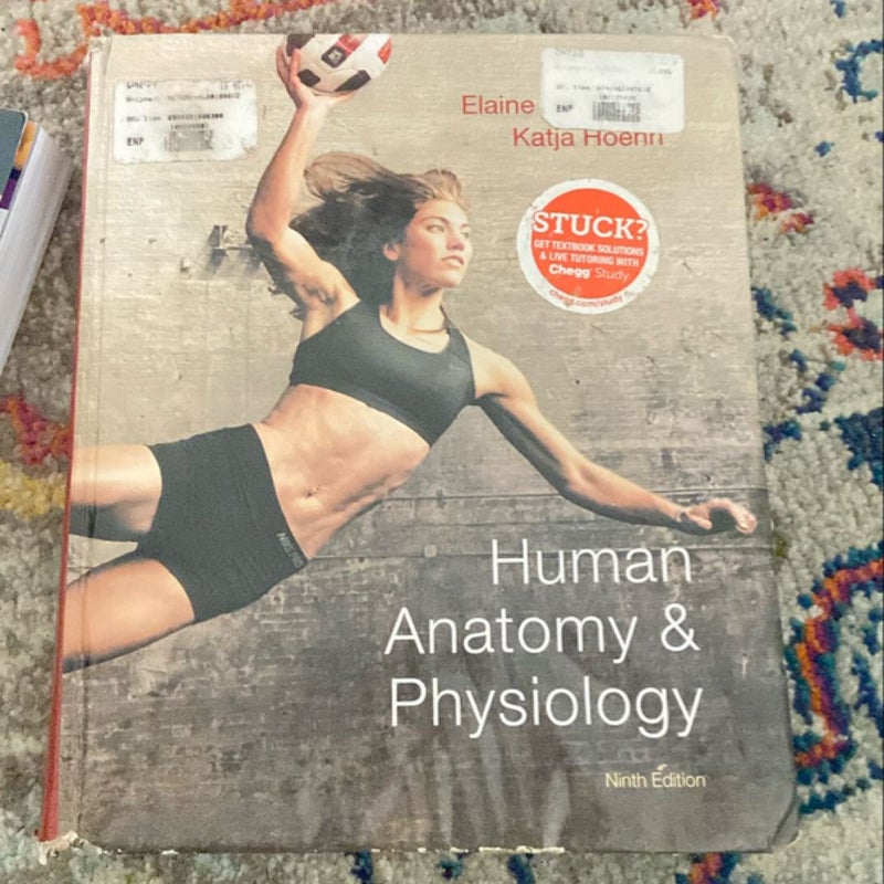 Human Anatomy and Physiology