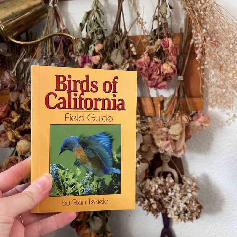 Birds of California Field Guide