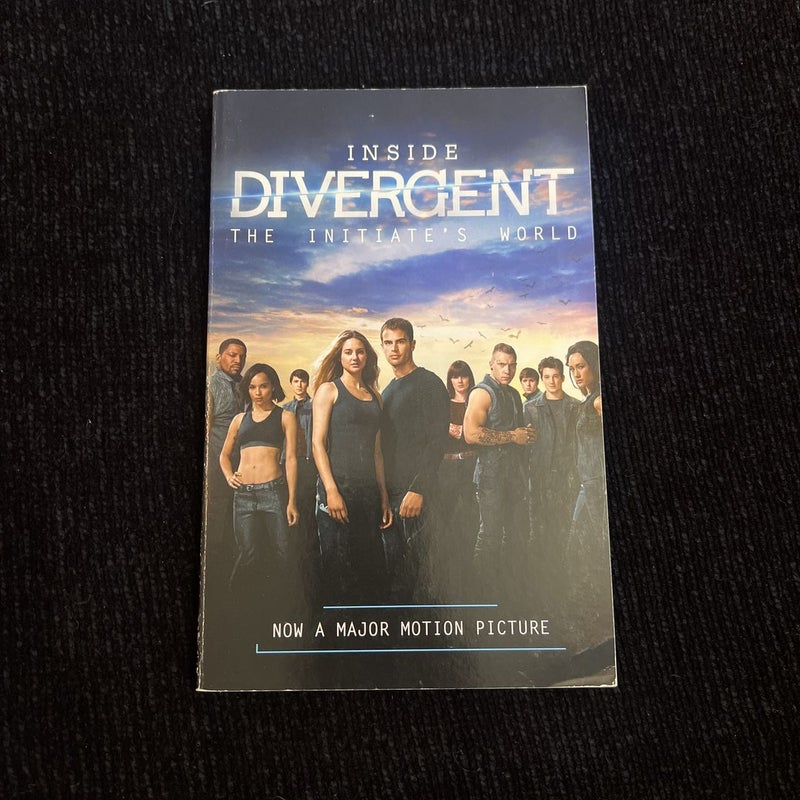 Inside Divergent: the Initiate's World