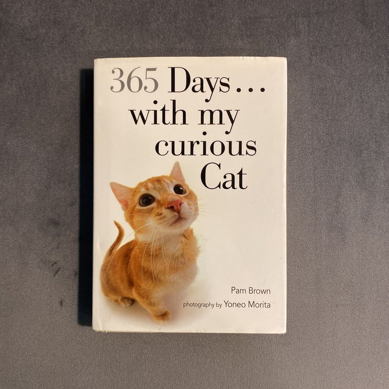 365 Days… with my curious Cat