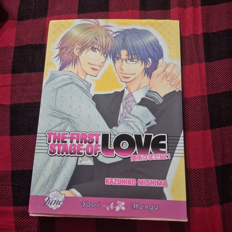 The First Stage of Love (Yaoi)