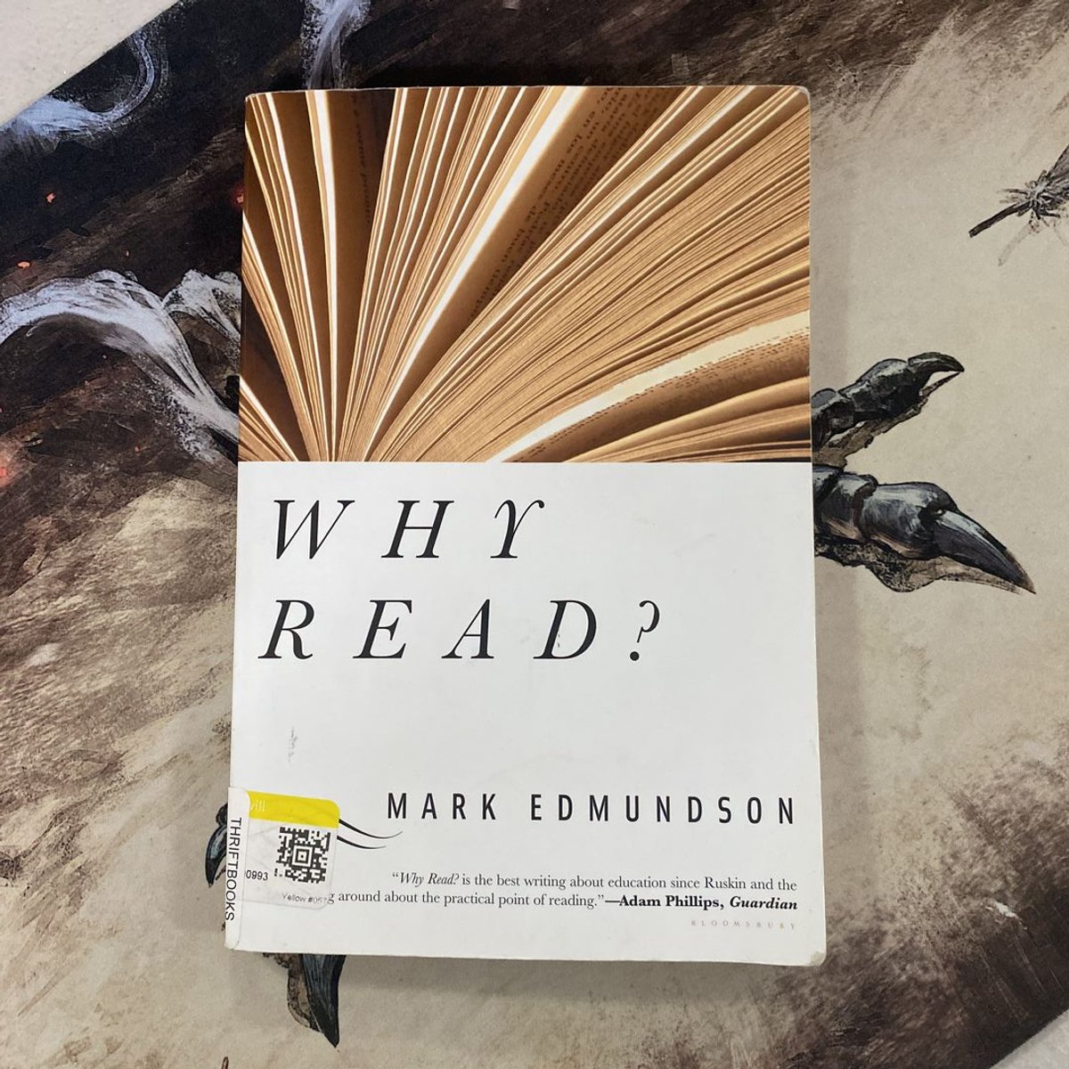 Why Read? by Mark Edmundson