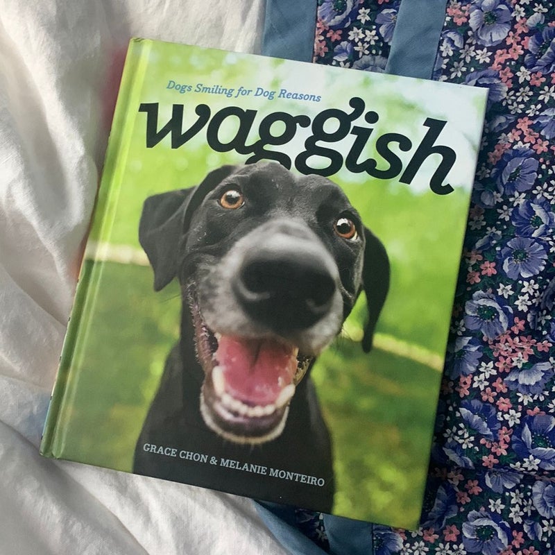 Waggish