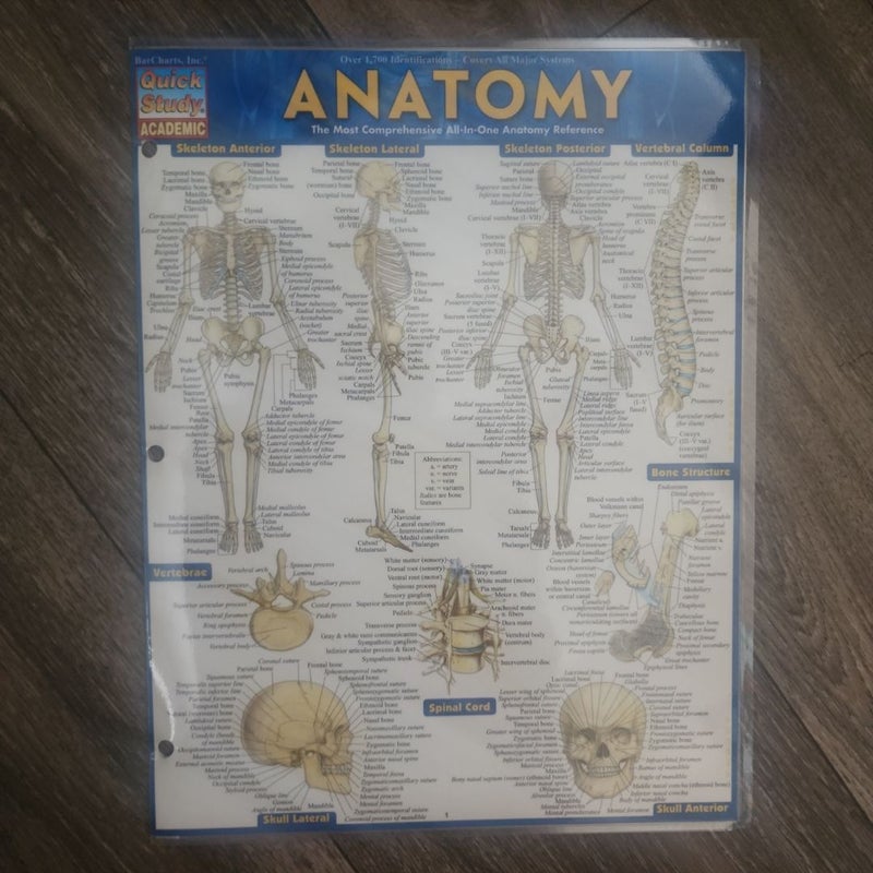 Anatomy - Reference Guide (8. 5 X 11)