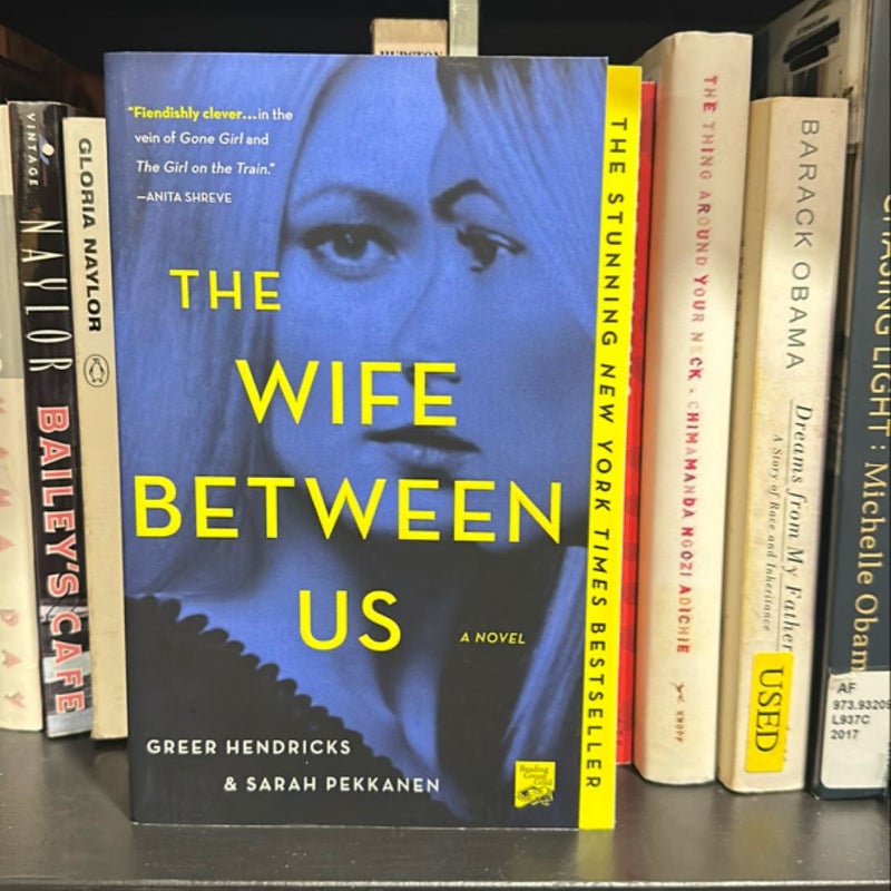 The Wife Between Us