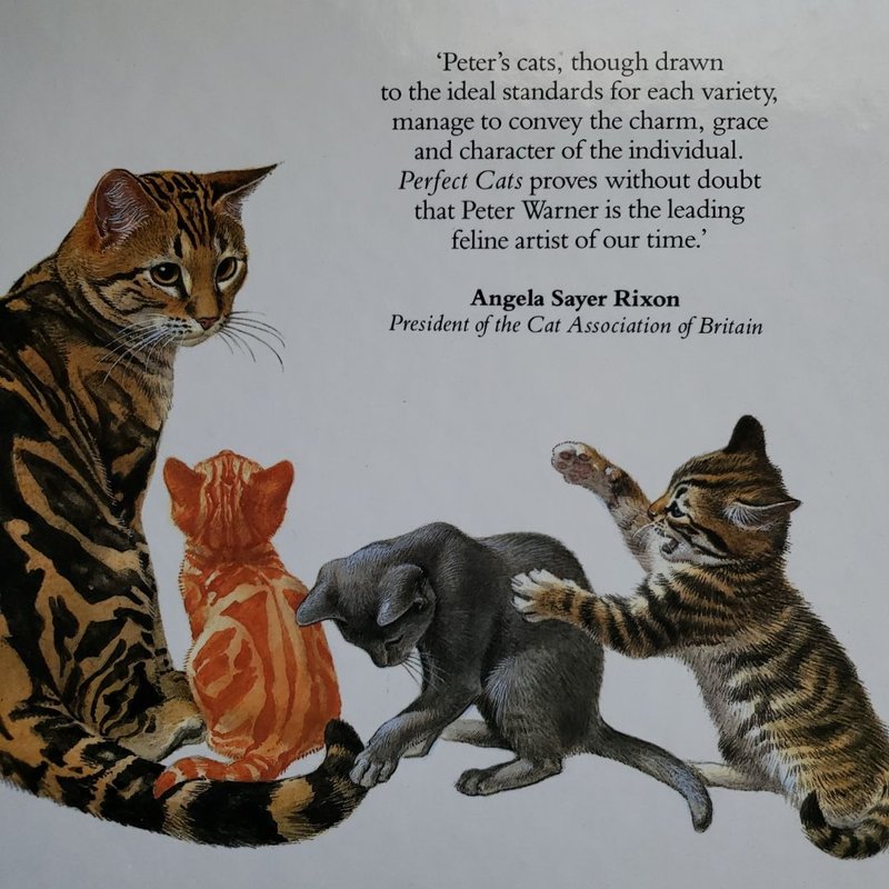 Perfect Cats by Peter Warner