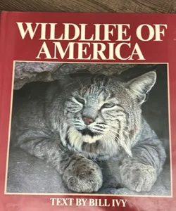 Wildlife of America