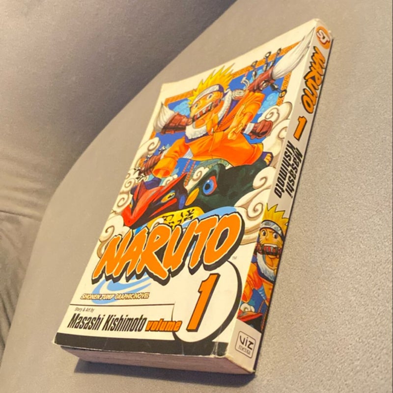 Naruto, Vol. 1