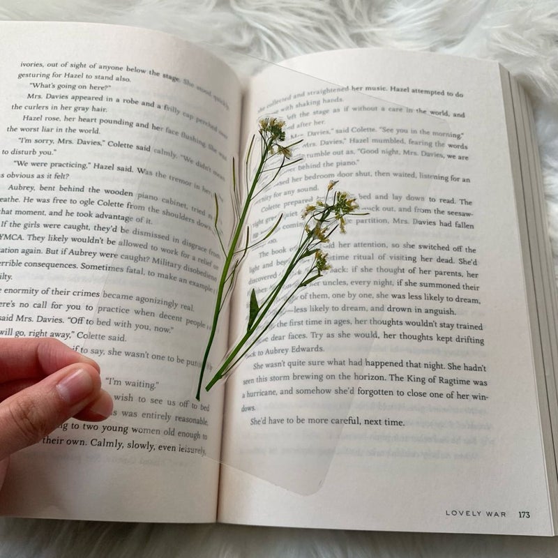 Handmade Real Flower Window Bookmark