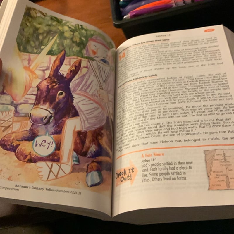 Kid's Study Bible