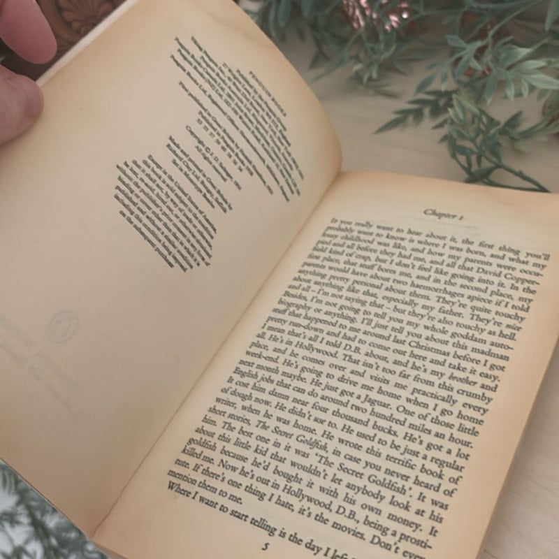 The Catcher in the Rye