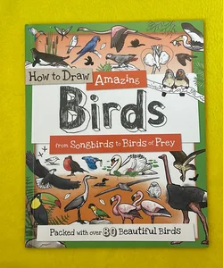 How to Draw Amazing Birds