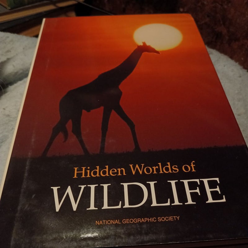 Hidden world's a wildlife