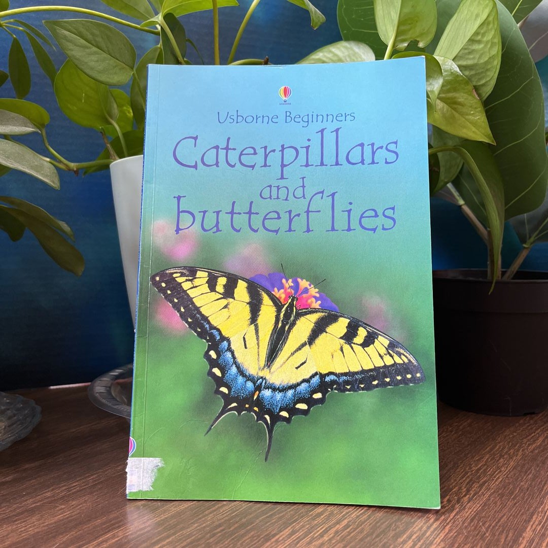 Caterpillars and Butterflies