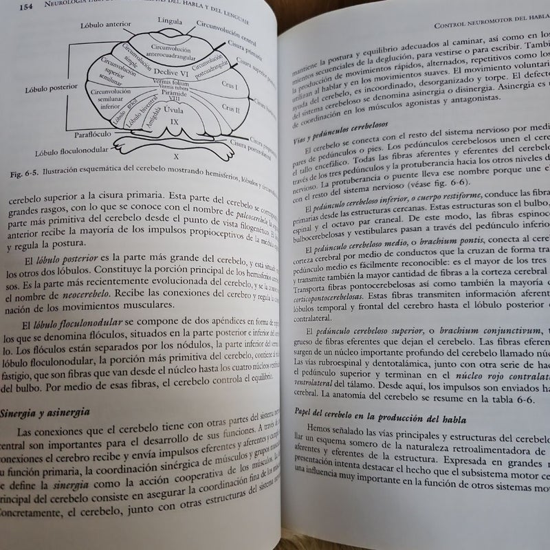 Neurologia para los especialistas del habla y del lenguaje