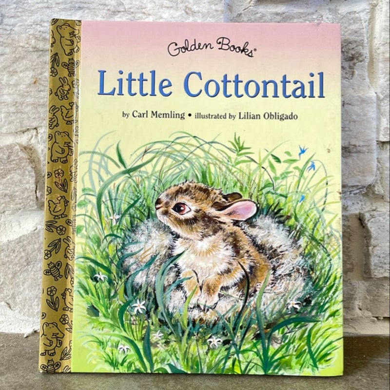 Little Cottontail