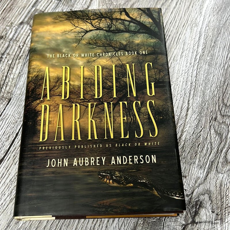 Abiding Darkness