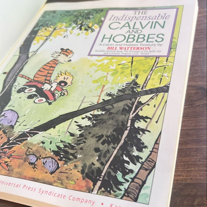 The Indispensable Calvin and Hobbes