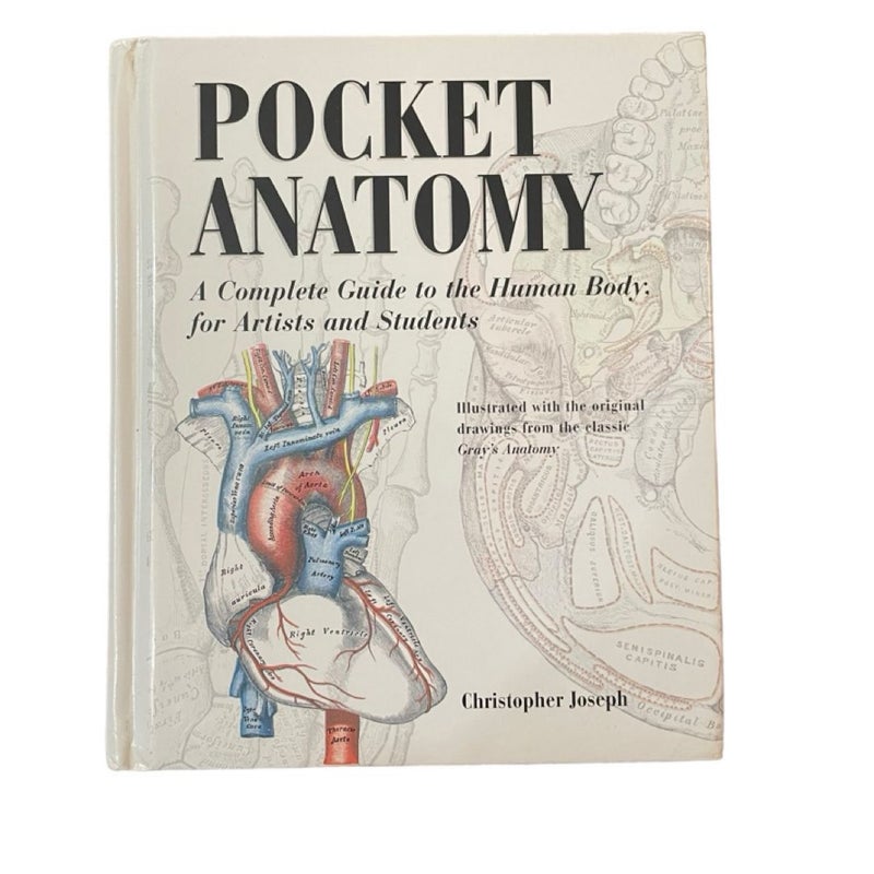 Pocket Anatomy