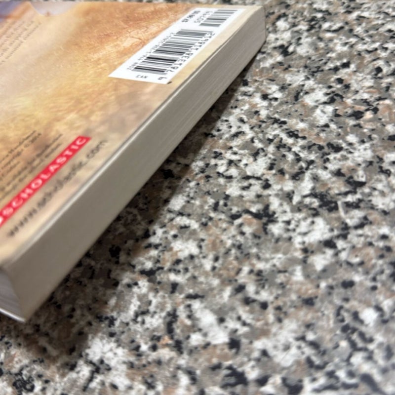 The Sixteenth Summer