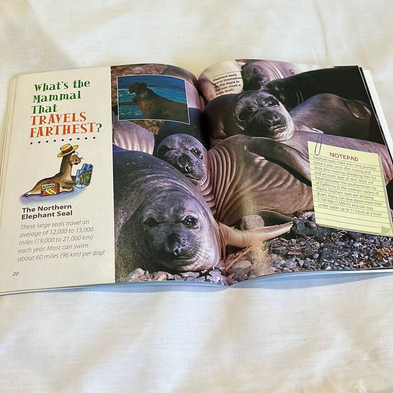 Set of 6 - Amazing Book of Mammal Records
