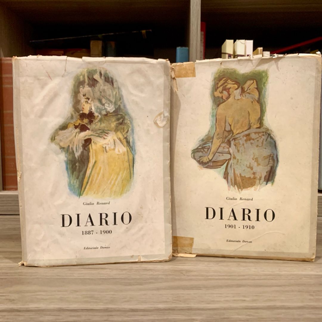 Diario Vol. I & II (*Italian Edition*)