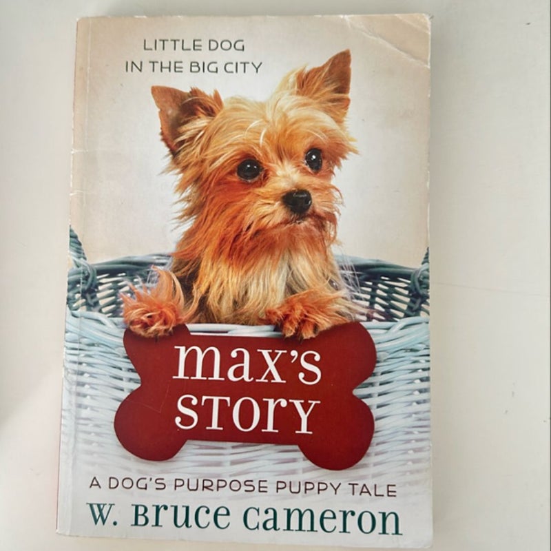 Max's Story