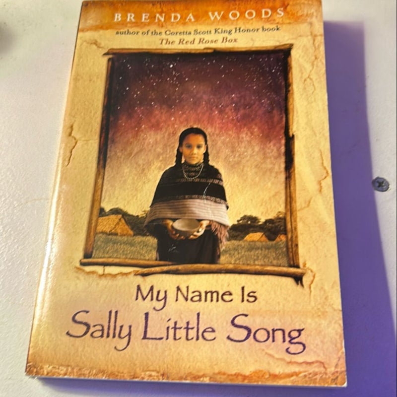 My Name Is Sally Little Song