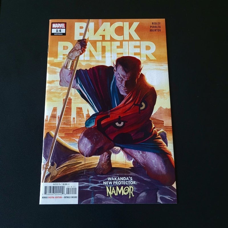 Black Panther #14