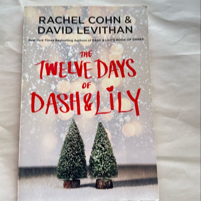 The Twelve Days of Dash and Lily