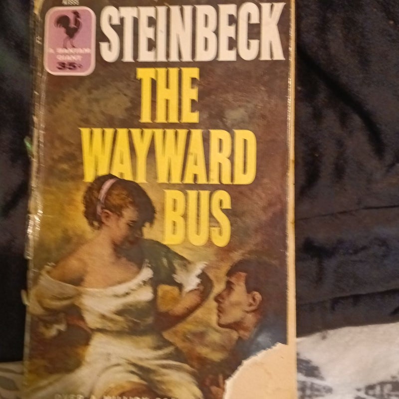The Wayward Bus