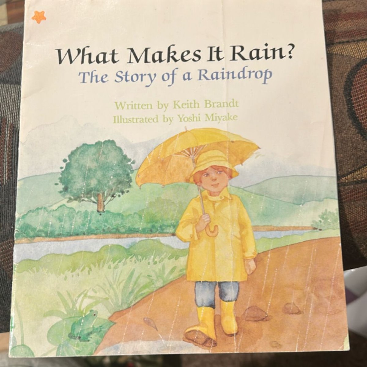 What Makes It Rain? by Keith Brandt
