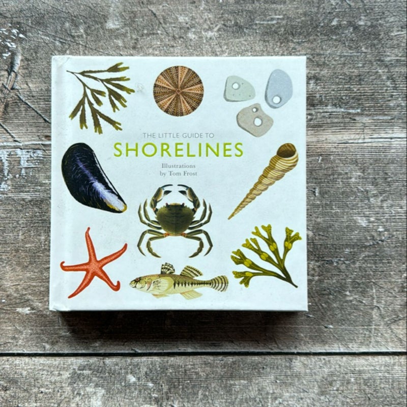 The Little Guide to Shorelines