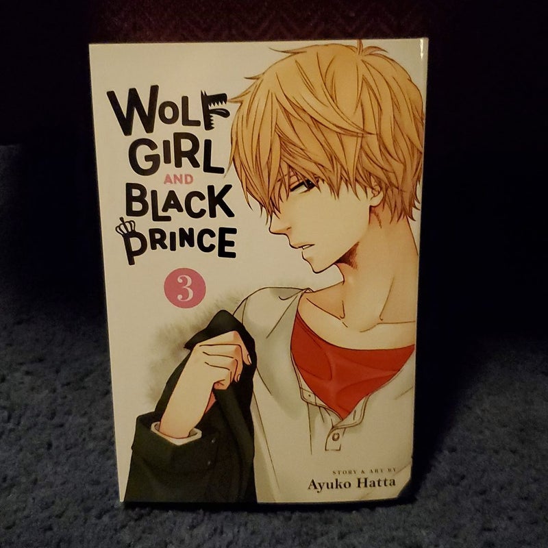 Wolf Girl and Black Prince, Vol. 3