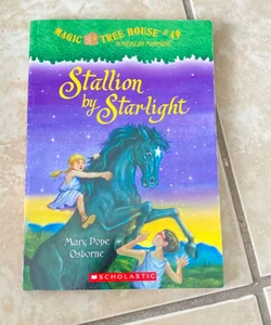 Stallion by starlight 