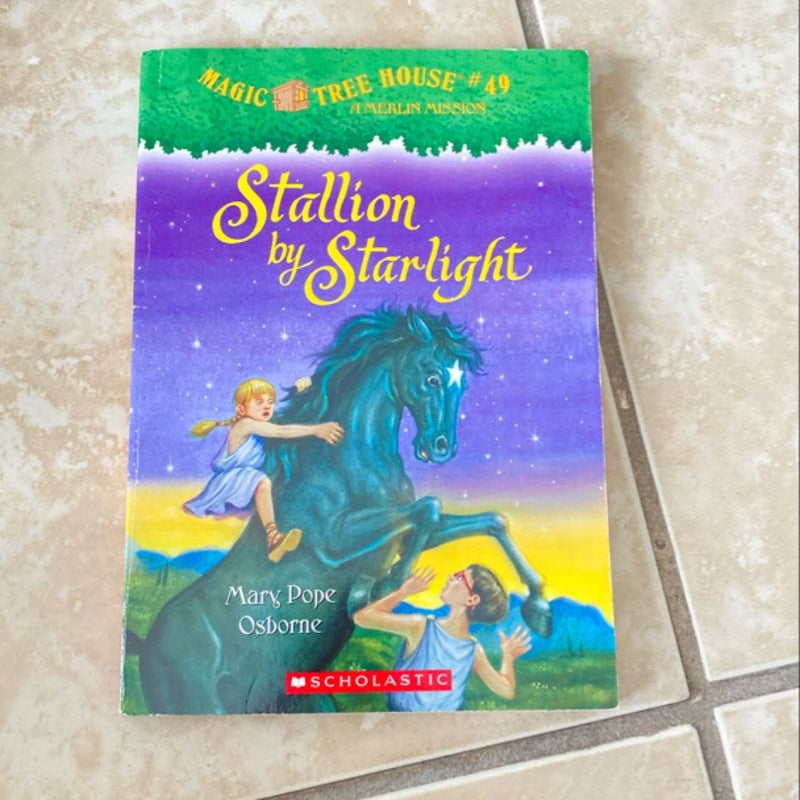 Stallion by starlight 