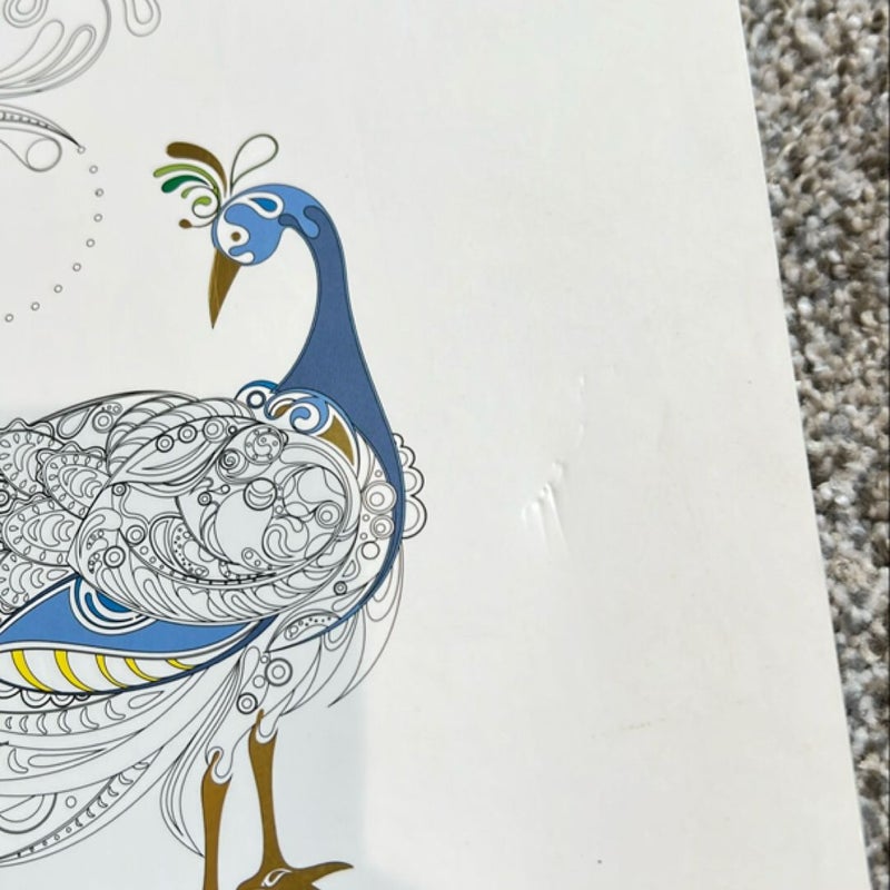 Animal Fantasy Coloring Book