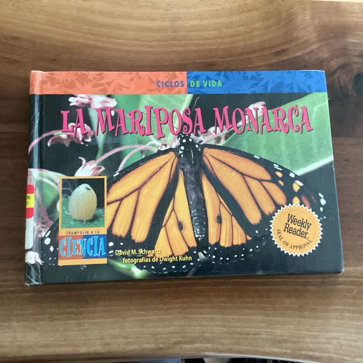 Monarch Butterfly by David M. Schwartz, Dwight Kuhn