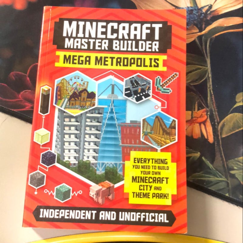 Minecraft master builder 