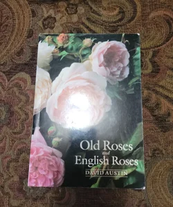 Old Roses and English Roses