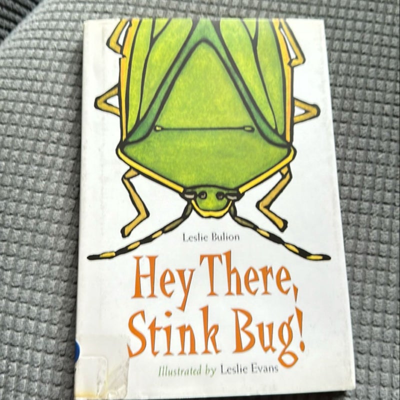 Hey there, stink bug! 