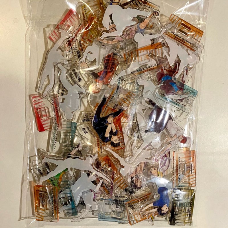 Haikyu!! 10th Chronicle Bundle